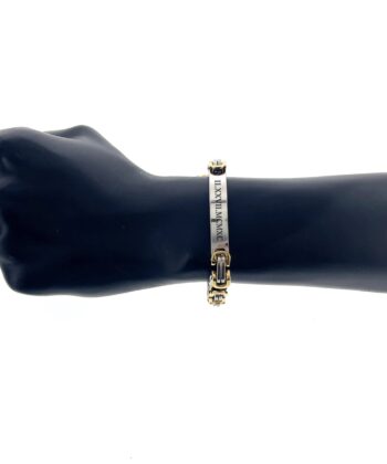 healthbracelet_35eeb43c-90d5-4a3e-8930-4c4ab0720ee5 birthday gift